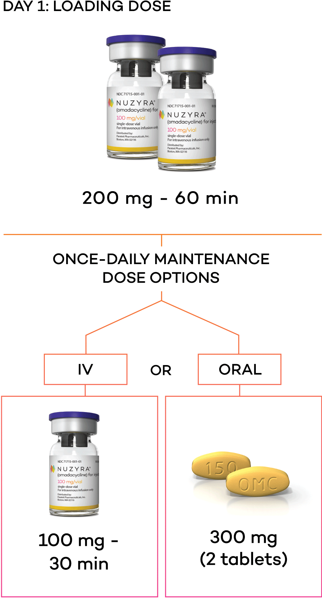 IV loading dose: 2 vials of NUZYRA 100 mg for a 60-minute 200 mg IV infusion on Day 1 followed by 1 vial of NUZYRA 100 mg for a once-daily 30-minute IV infusion maintenance dose OR 2 NUZYRA 150 mg tablets for a 300 mg once-daily oral maintenance dose. For additional dosage information, please see Full Prescribing Information, including Table 1.